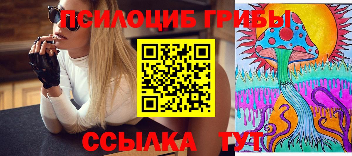 Псилоцибиновые грибы прущие грибы Волгоград