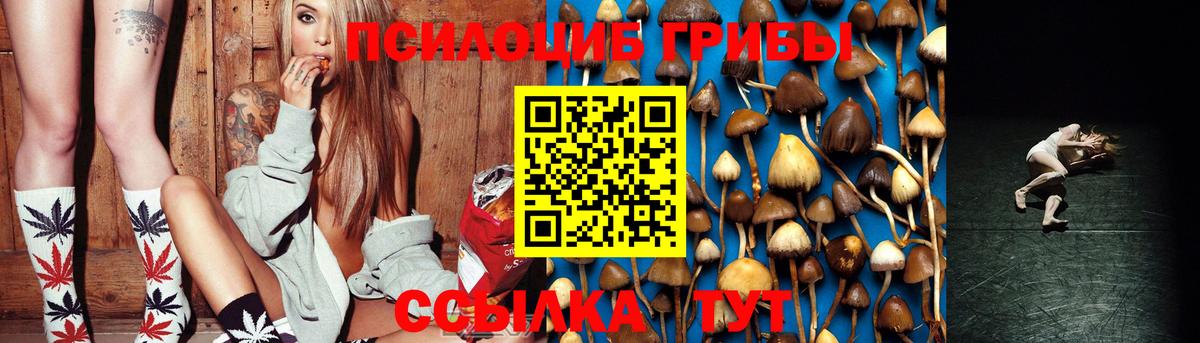 Псилоцибиновые грибы ЛСД  Вход с VPN  Волгоград  Галлюциногенные грибы Magic Shrooms 